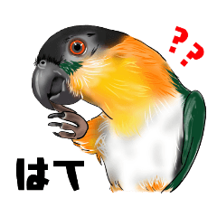 [LINEスタンプ] 鳥さん集合〜猛禽類,インコ,オウム,野鳥〜