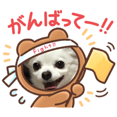 [LINEスタンプ] チワワ日常スタンプ2