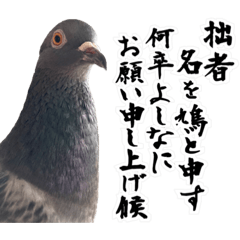 [LINEスタンプ] 鳩侍