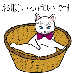 [LINEスタンプ] 丁寧言葉の猫ちゃん達