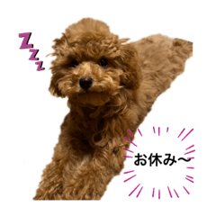 [LINEスタンプ] BIBIちゃん初年度
