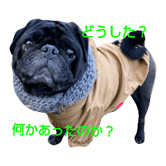 [LINEスタンプ] 生活感のある犬達