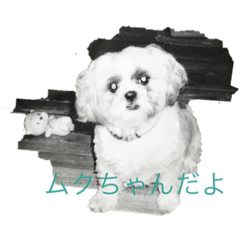 [LINEスタンプ] ペットペットペぺぺット