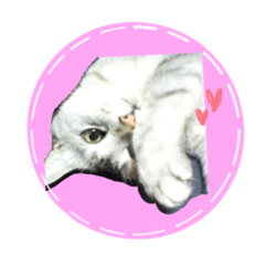 [LINEスタンプ] 犬好きと猫好きのためのスタンプ