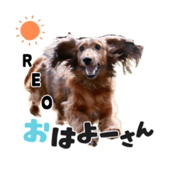 [LINEスタンプ] レオすたんぷ。