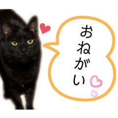 [LINEスタンプ] じゅじゅくんスタンプ2
