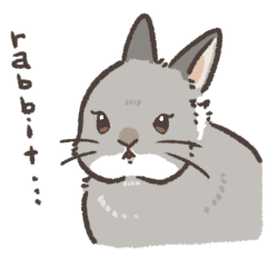 [LINEスタンプ] rabbit and...スタンプ