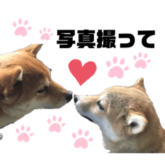 [LINEスタンプ] H.こなつ