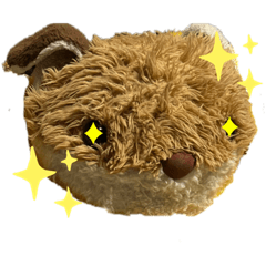 [LINEスタンプ] キツネのコンちゃんシリーズ