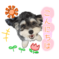 [LINEスタンプ] ぽにょちゃんの日常4