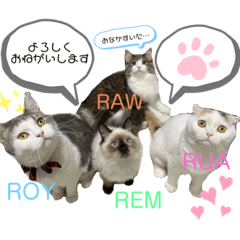 [LINEスタンプ] ロイ ラウ ルア レム