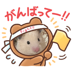 [LINEスタンプ] ハムちゃんズだよ