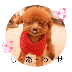 [LINEスタンプ] 愛犬Duffy