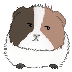 [LINEスタンプ] アダムスビ の モルモット