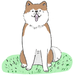 [LINEスタンプ] ぽわぽわ秋田犬