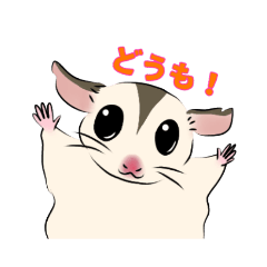 [LINEスタンプ] フクロモモンガのモモ☆かわいいフクモモ