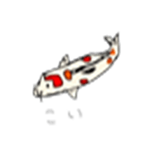 [LINEスタンプ] 鯉 錦鯉とメッセージ