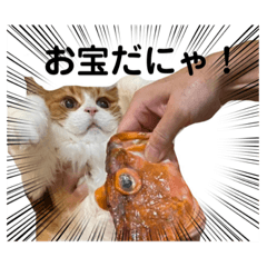 [LINEスタンプ] めいみる
