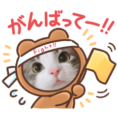 [LINEスタンプ] にゃんこのルーシー色んな表情