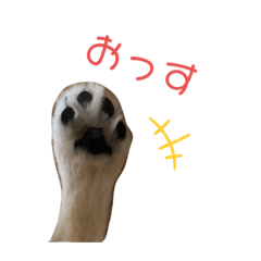 [LINEスタンプ] ウチのミール君②