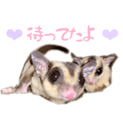 [LINEスタンプ] サブちゃんとジローちゃんスタンプ