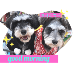 [LINEスタンプ] Maruku ＆laina