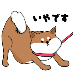 [LINEスタンプ] 柴犬ハナちゃんのスタンプ