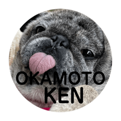 [LINEスタンプ] OKAMOTO KEN KUN