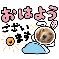 [LINEスタンプ] むぎワンポイントスタンプ