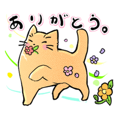 [LINEスタンプ] にぃにぃにぃスタンプ☆やっぱり猫が好き☆