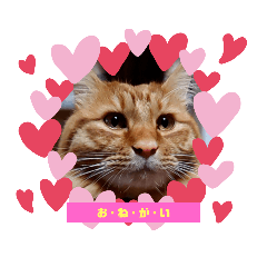 [LINEスタンプ] たわなつの画像（メイン）