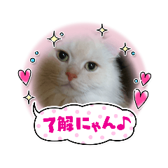 [LINEスタンプ] マフィンとお話
