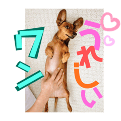 [LINEスタンプ] 桃ちスタンプ2