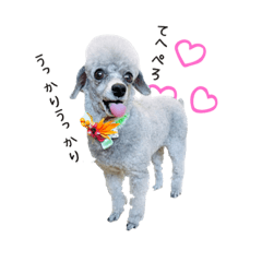 [LINEスタンプ] ふわもこレオンの日常