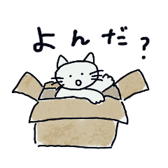 [LINEスタンプ] フクココ猫