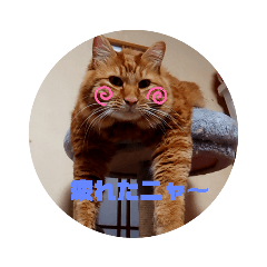 [LINEスタンプ] kiyotawanatu