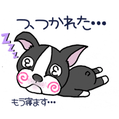 [LINEスタンプ] ボストンテリアのボンド兄さん④