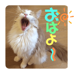 [LINEスタンプ] メルとジュアンのスタンプ