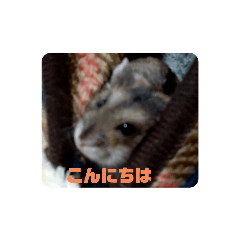 [LINEスタンプ] I LOVEハムスター3