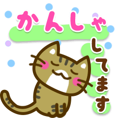 [LINEスタンプ] かわいいトラ猫[太文字＆使える言葉]