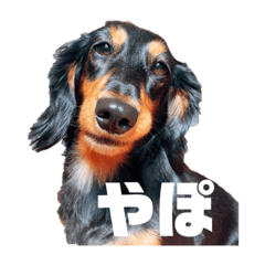 [LINEスタンプ] しーぬん＆やぽ