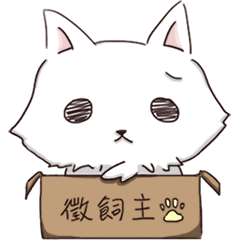 [LINEスタンプ] 白い狼犬-雪のケーキ