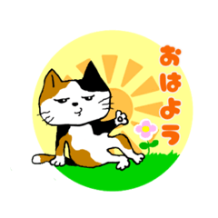 [LINEスタンプ] いろんなねこちゃんのごあいさつスタンプ