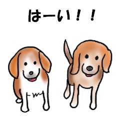 [LINEスタンプ] ビーグルあるある 我が家編