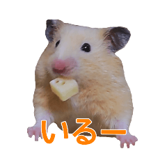 [LINEスタンプ] キンクマハムスターのくま子