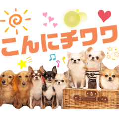 [LINEスタンプ] ダックスと6チワワ