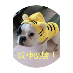 [LINEスタンプ] フレンチパラダイス