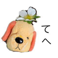 [LINEスタンプ] ちぇーのにちじょう1