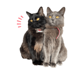 [LINEスタンプ] みのらむ