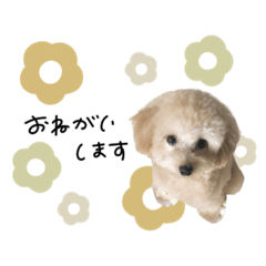 [LINEスタンプ] ♡miki様